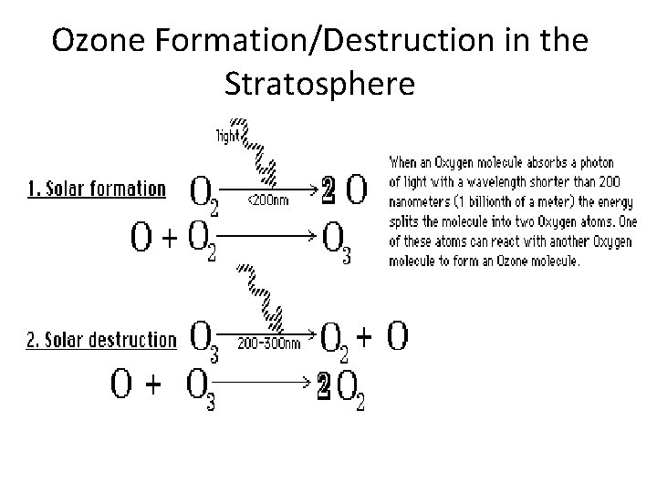 Ozone Formation/Destruction in the Stratosphere 