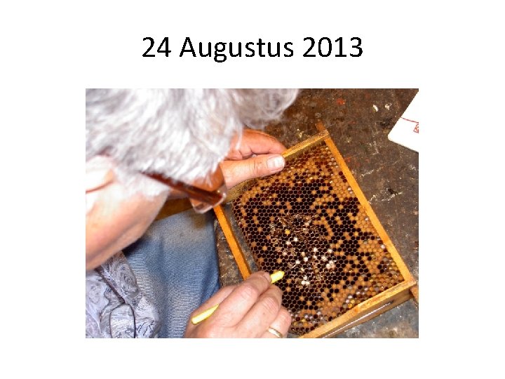 24 Augustus 2013 