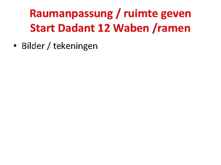 Raumanpassung / ruimte geven Start Dadant 12 Waben /ramen • Bilder / tekeningen 