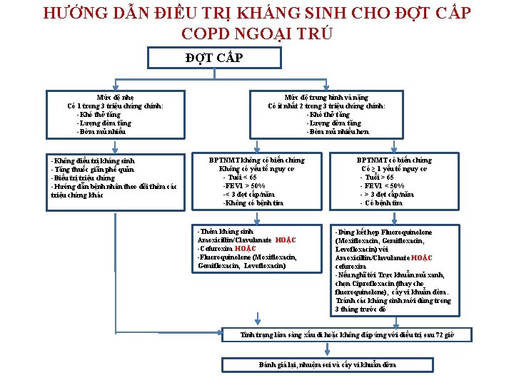 HƯỚNG DẪN ĐIỀU TRỊ KHÁNG SINH CHO ĐỢT CẤP COPD NGOẠI TRÚ ĐỢT CẤP