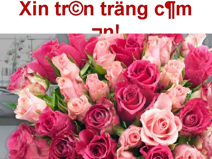 Xin tr©n träng c¶m ¬n! 