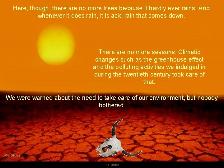 Here, though, there are no more trees because it hardly ever rains. And whenever Here, though, there are no more trees because it hardly ever rains. And whenever
