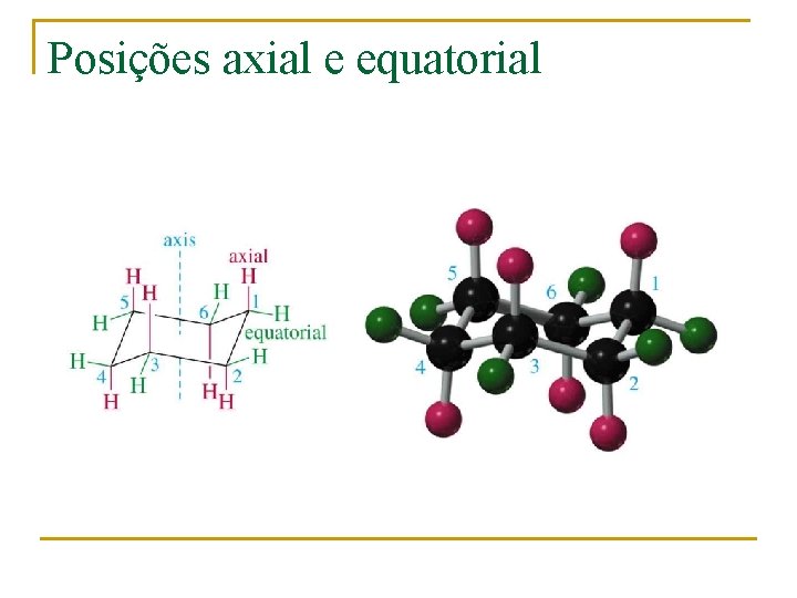 Posições axial e equatorial 