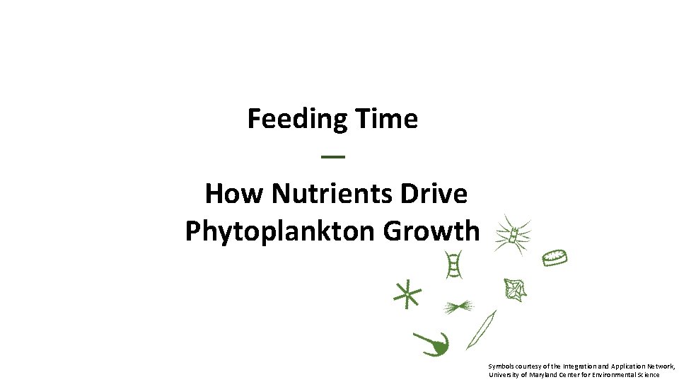 Feeding Time ― How Nutrients Drive Phytoplankton Growth Symbols courtesy of the Integration and