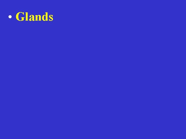  • Glands 