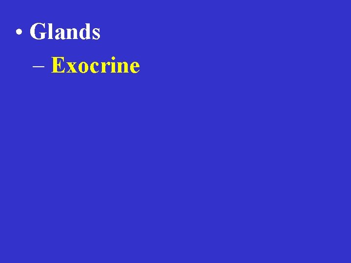  • Glands – Exocrine 