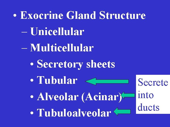  • Exocrine Gland Structure – Unicellular – Multicellular • Secretory sheets • Tubular