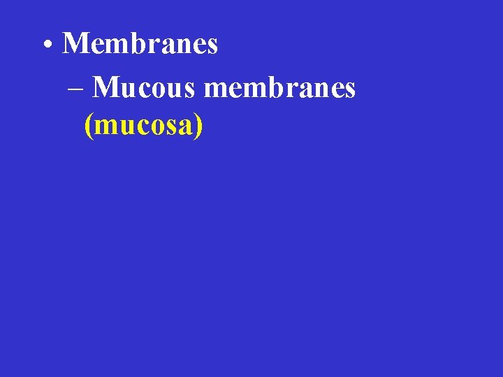  • Membranes – Mucous membranes (mucosa) 