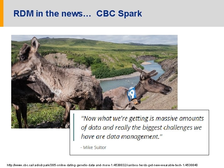 RDM in the news… CBC Spark http: //www. cbc. ca/radio/spark/385 -online-dating-genetic-data-and-more-1. 4538832/caribou-herds-get-new-wearable-tech-1. 4538840 
