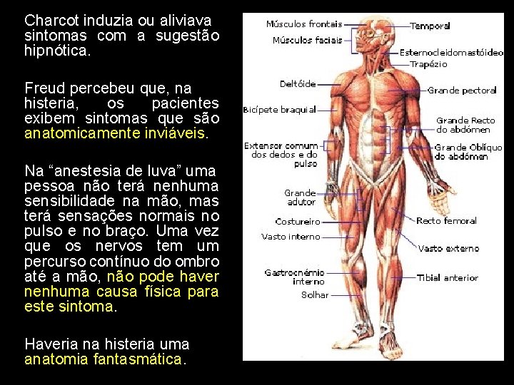 Charcot induzia ou aliviava sintomas com a sugestão hipnótica. Freud percebeu que, na histeria,