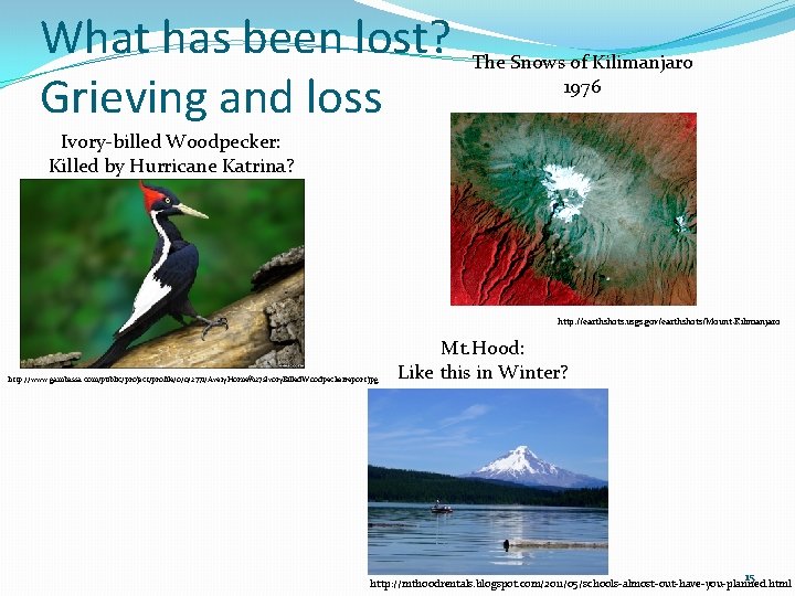 What has been lost? Grieving and loss The Snows of Kilimanjaro 1976 Ivory-billed Woodpecker: