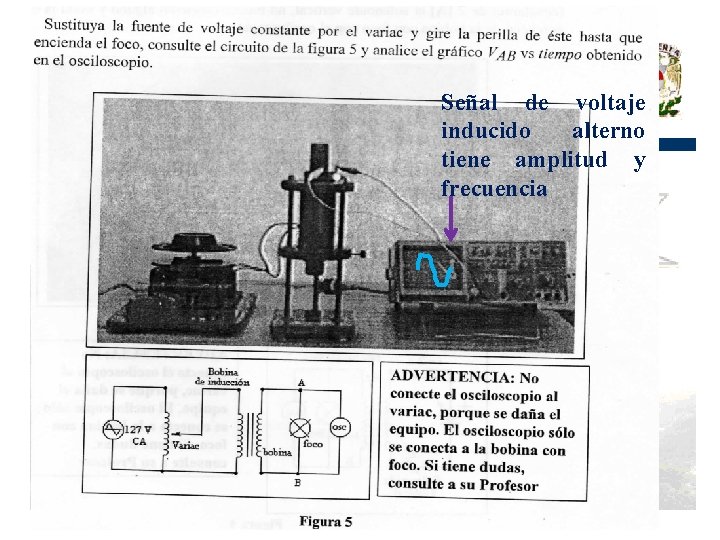 Señal de voltaje inducido alterno tiene amplitud y frecuencia 