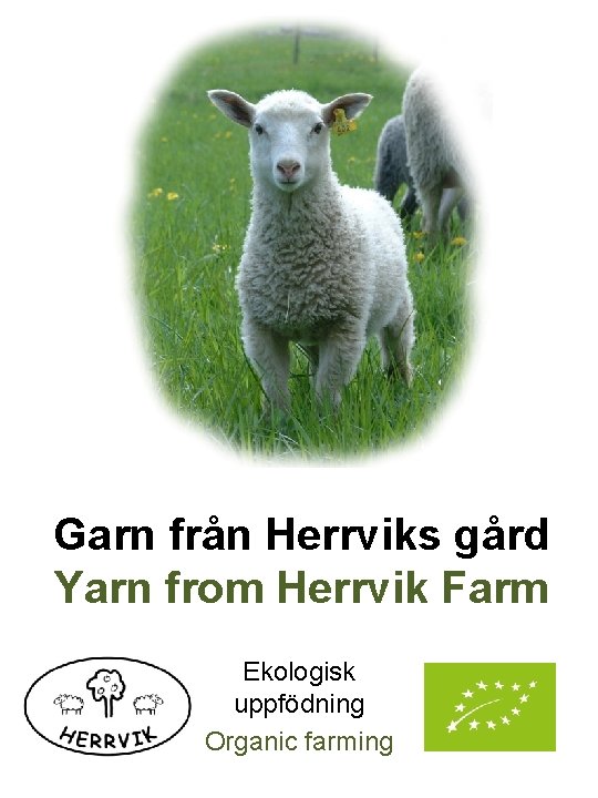 Garn från Herrviks gård Yarn from Herrvik Farm Ekologisk uppfödning Organic farming 