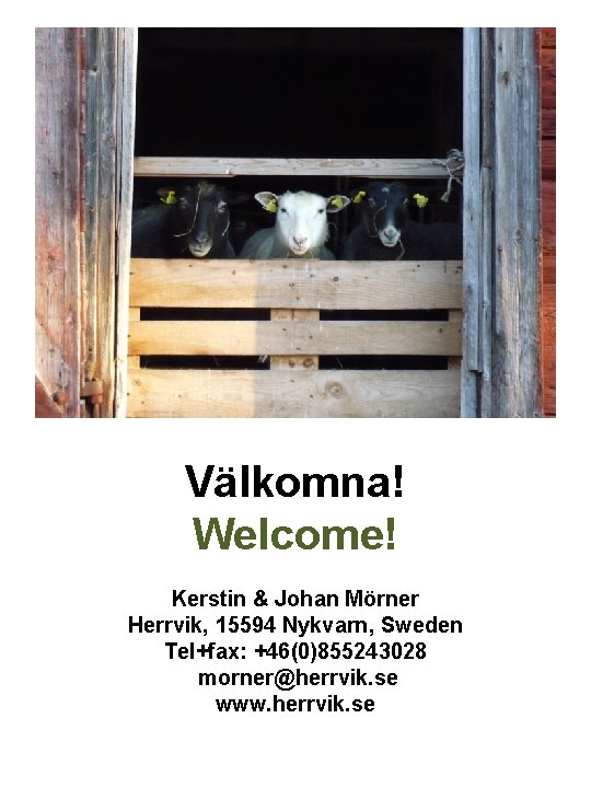 Välkomna! Welcome! Kerstin & Johan Mörner Herrvik, 15594 Nykvarn, Sweden Tel+fax: +46(0)855243028 morner@herrvik. se