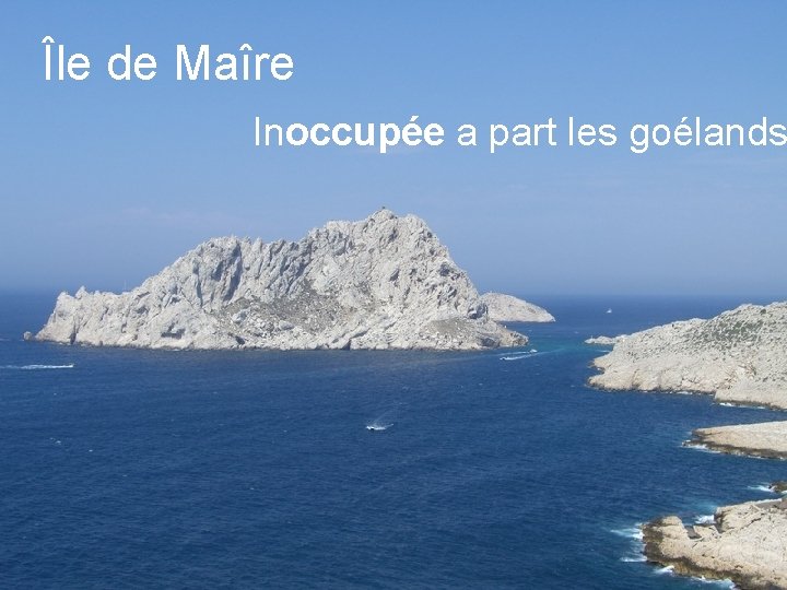 Île de Maîre Inoccupée a part les goélands 