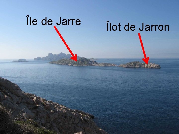 Île de Jarre Îlot de Jarron 