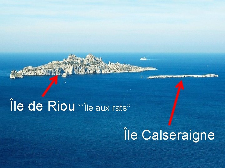 Île de Riou ``Île aux rats’’ Île Calseraigne 