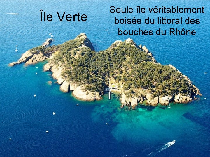 Île Verte Seule île véritablement boisée du littoral des bouches du Rhône 
