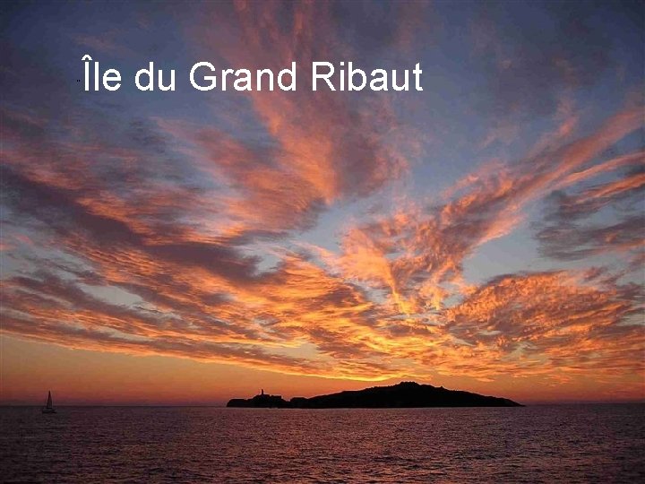 ¨ Île du Grand Ribaut 