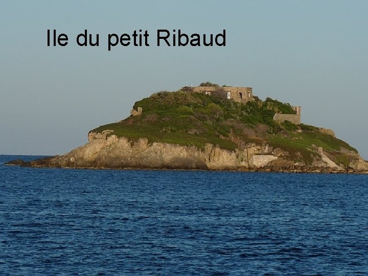 Ile du petit Ribaud 
