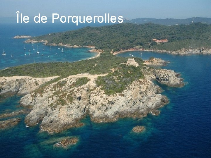 Île de Porquerolles 