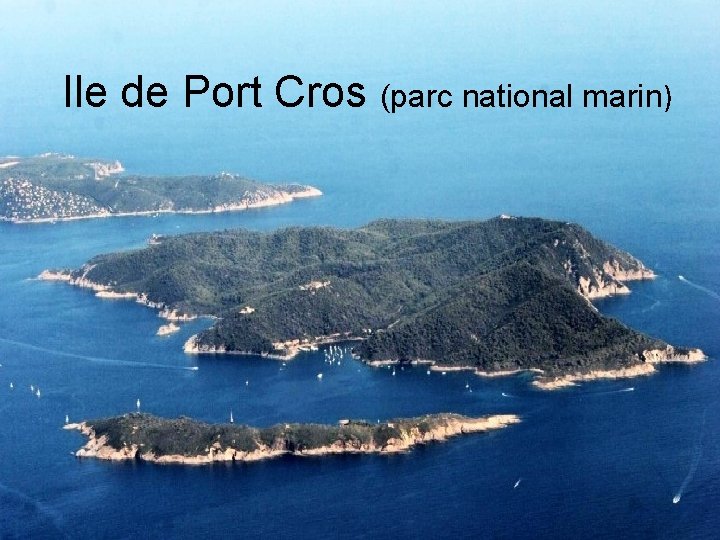 Ile de Port Cros (parc national marin) 