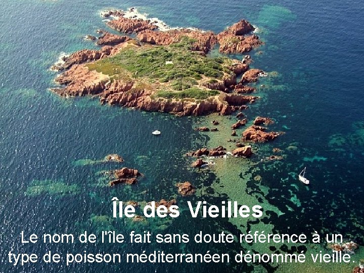 Île des Vieilles Le nom de l'île fait sans doute référence à un type