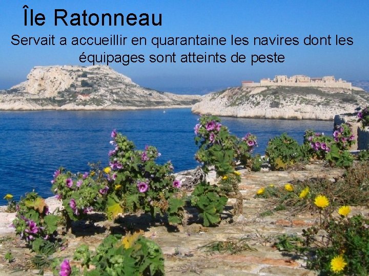 Île Ratonneau Servait a accueillir en quarantaine les navires dont les équipages sont atteints