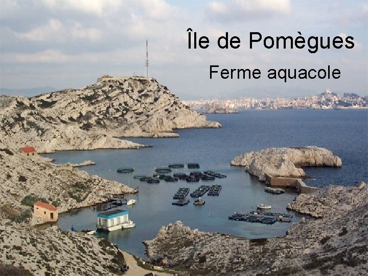 Île de Pomègues Ferme aquacole 