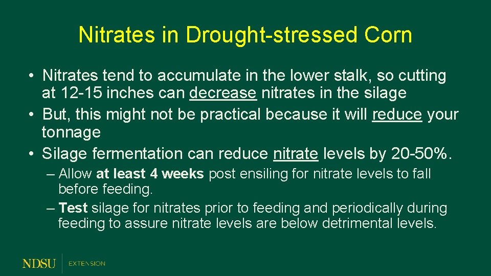 Nitrates in Drought-stressed Corn • Nitrates tend to accumulate in the lower stalk, so