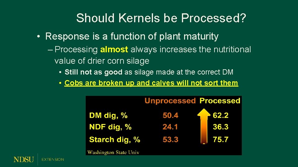 Should Kernels be Processed? • Response is a function of plant maturity – Processing