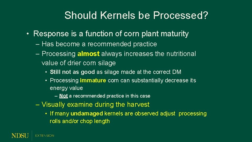 Should Kernels be Processed? • Response is a function of corn plant maturity –