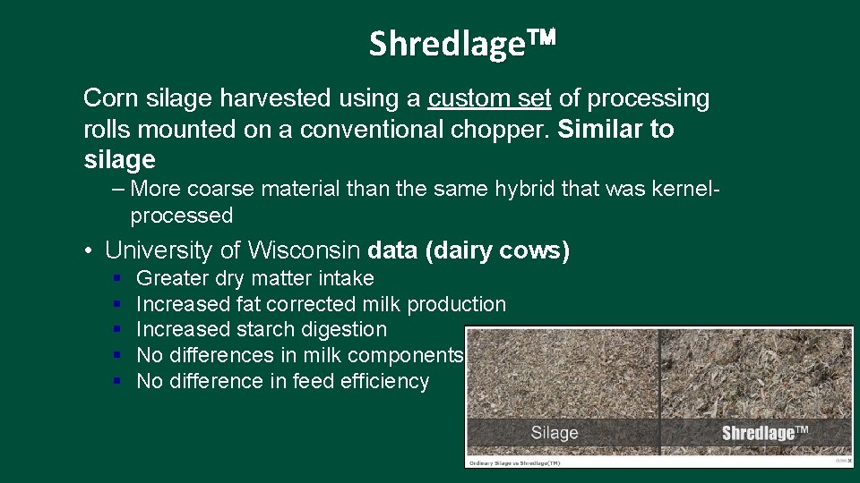 Shredlage Corn silage harvested using a custom set of processing rolls mounted on a