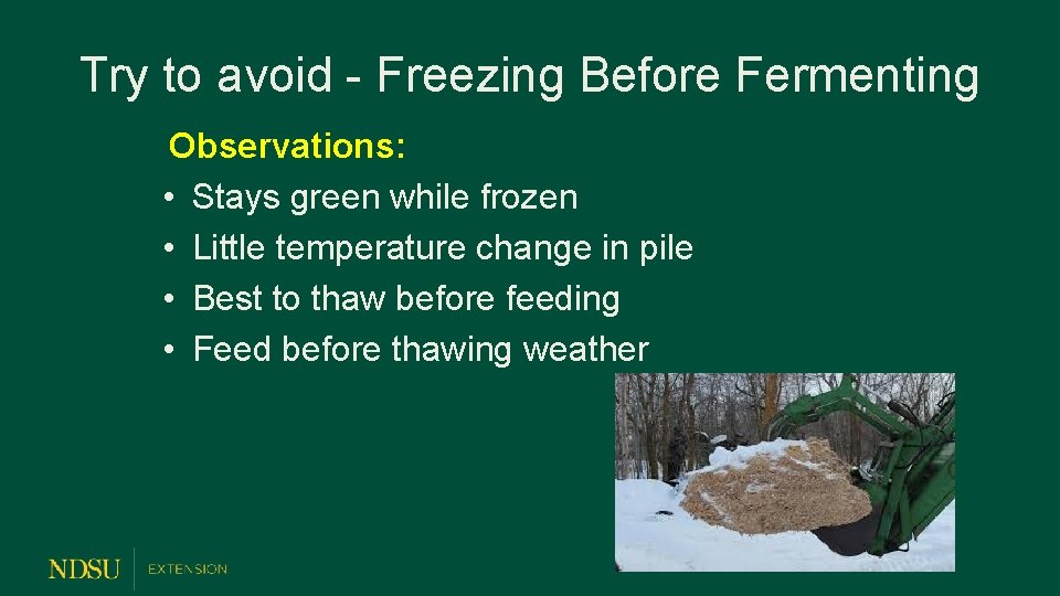 Try to avoid - Freezing Before Fermenting Observations: • Stays green while frozen •