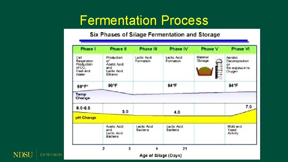 Fermentation Process 