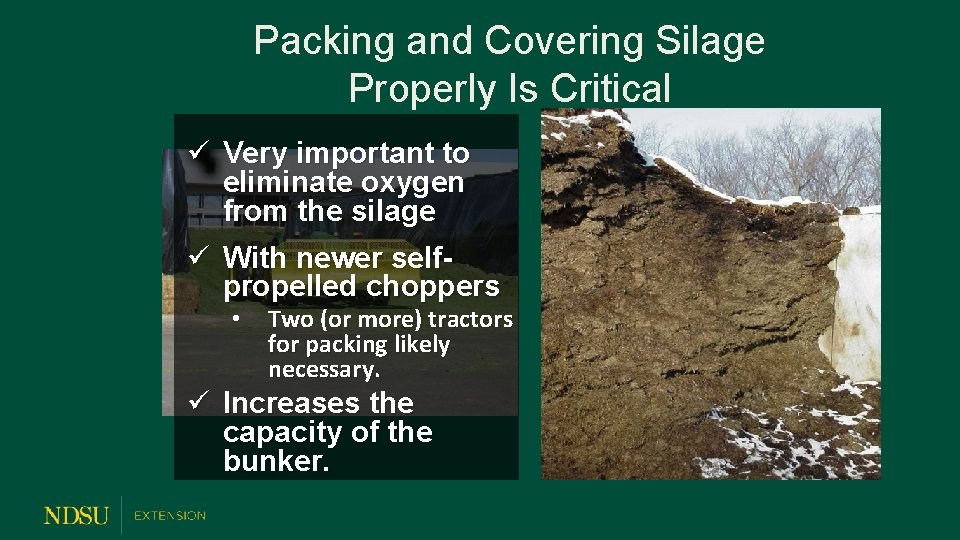 Packing and Covering Silage Properly Is Critical ü Very important to eliminate oxygen from