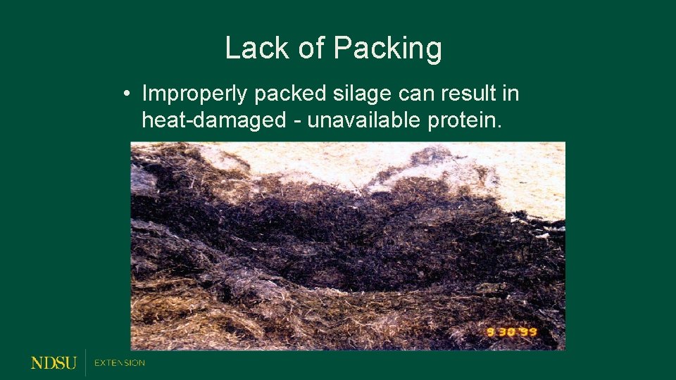 Lack of Packing • Improperly packed silage can result in heat-damaged - unavailable protein.