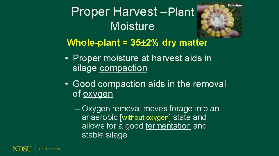 Proper Harvest –Plant Moisture Whole-plant = 35 2% dry matter • Proper moisture at