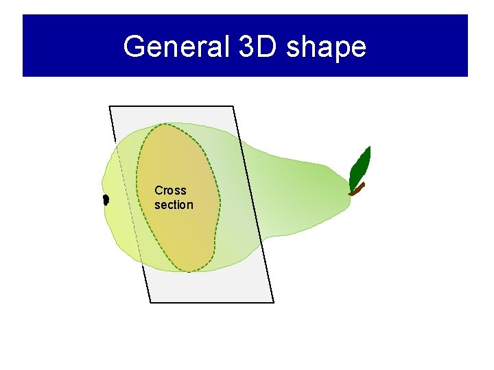 General 3 D shape Cross section 