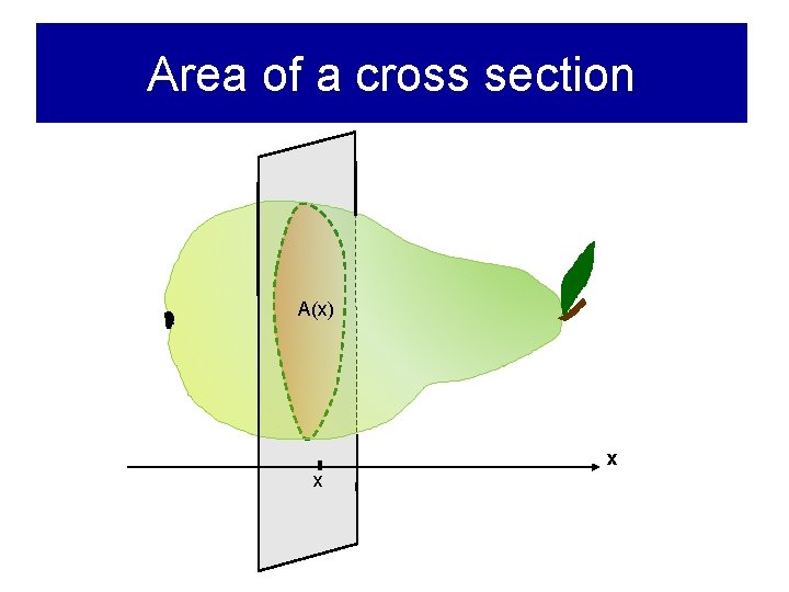 Area of a cross section A(x) x x 