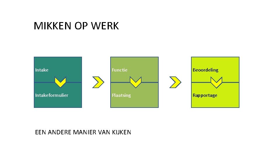 MIKKEN OP WERK Intake Functie Beoordeling Intakeformulier Plaatsing Rapportage EEN ANDERE MANIER VAN KIJKEN