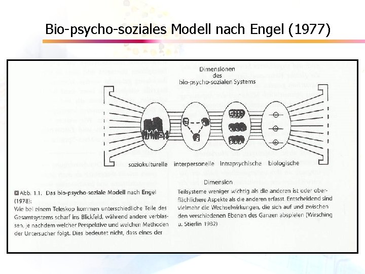 Bio-psycho-soziales Modell nach Engel (1977) 