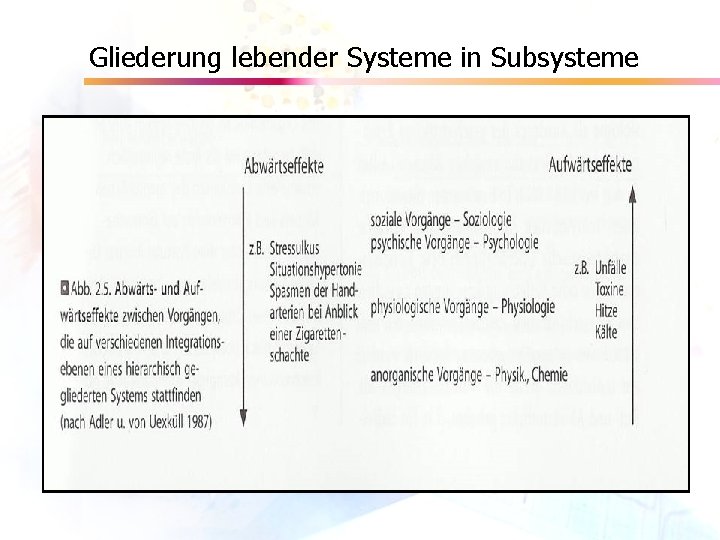 Gliederung lebender Systeme in Subsysteme 