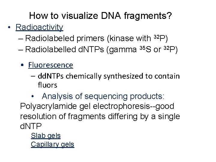 How to visualize DNA fragments? • Radioactivity – Radiolabeled primers (kinase with 32 P)