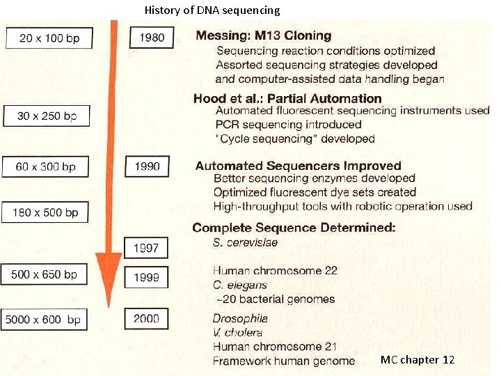 History of DNA sequencing MC chapter 12 
