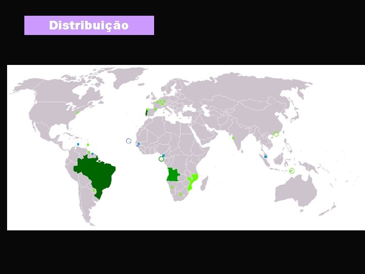 Distribuição 