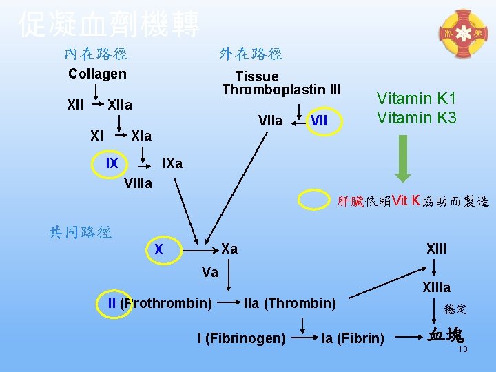 促凝血劑機轉 內在路徑 外在路徑 Collagen XII Tissue Thromboplastin III XIIa VIIa XI VII Vitamin K