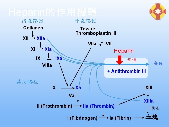 Heparin的作用機轉 內在路徑 外在路徑 Collagen XII Tissue Thromboplastin III XIIa VIIa XI XIa IX VII