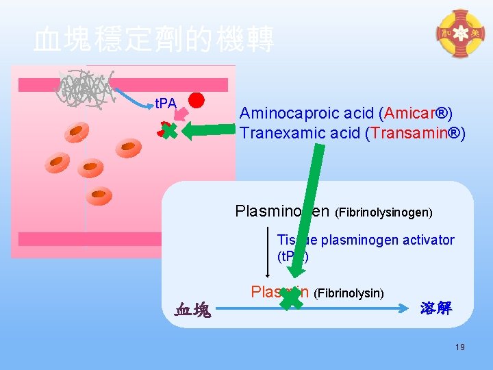 血塊穩定劑的機轉 t. PA Aminocaproic acid (Amicar®) Tranexamic acid (Transamin®) Plasminogen (Fibrinolysinogen) Tissue plasminogen activator