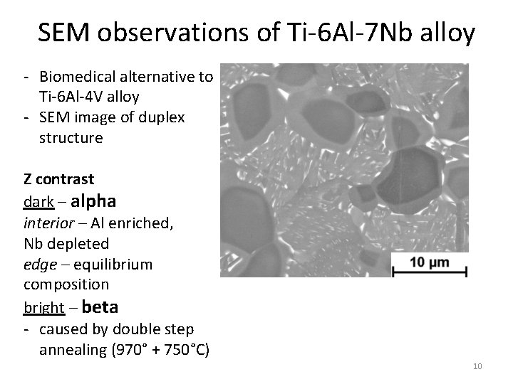 SEM observations of Ti-6 Al-7 Nb alloy - Biomedical alternative to Ti-6 Al-4 V